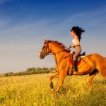 Beautiful girl riding a horse in countryside